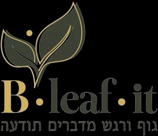 BLeafIt - שיטת הגשר ברחובות